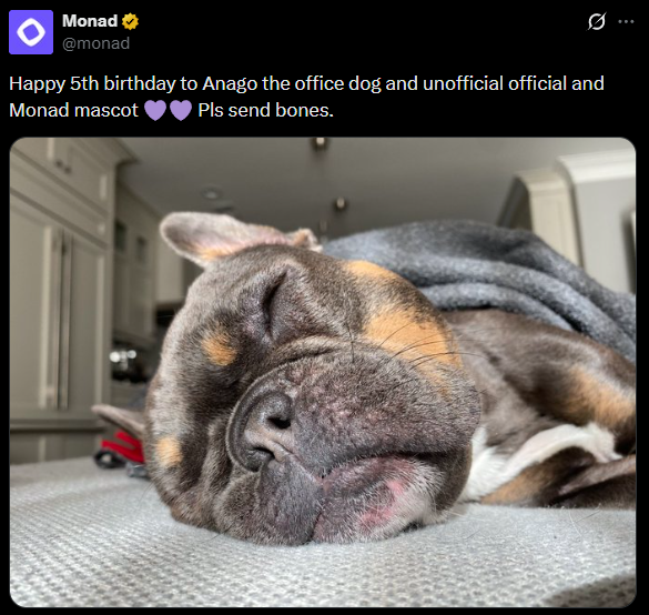 Monad tweet about Anago